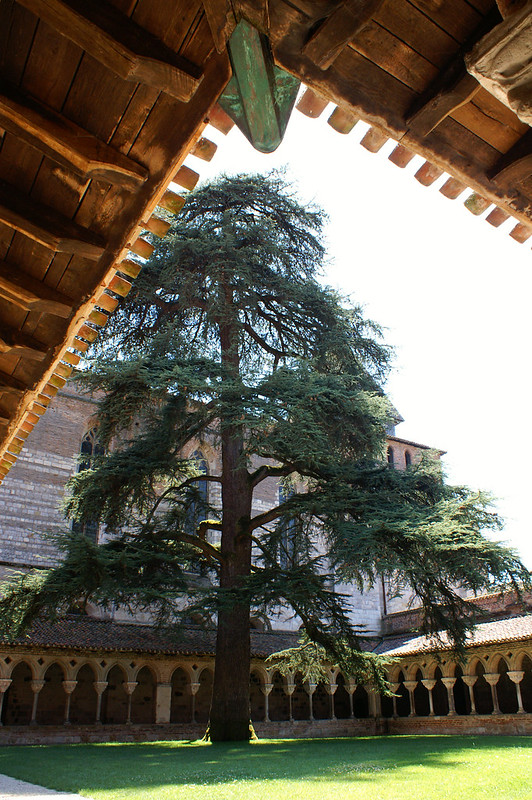 Cloître de Moissac